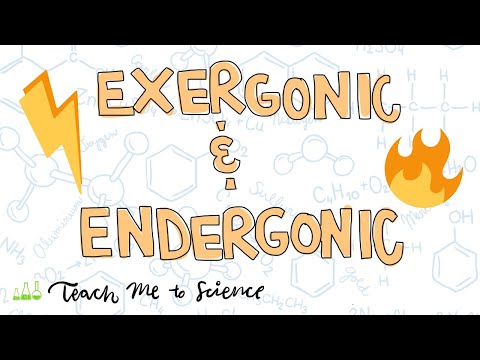 Video: Verschil Tussen Endergonic En Exergonic