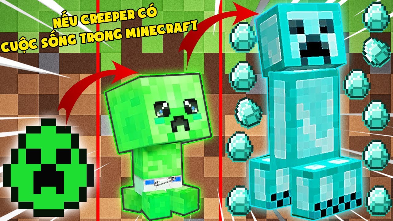 NẾU NOOB SỞ HỮU CREEPER VIP NHẤT TRONG MINECRAFT ** CREEPER KIM CƯƠNG CÓ CUỘC SỐNG TRONG MINECRAFT