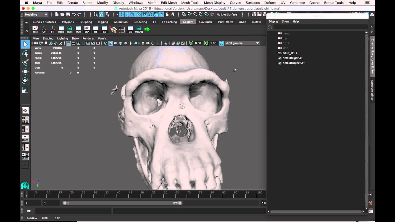 mayaページ HSC404 Assignment 3 - Importing and cleaning models in Maya - YouTube