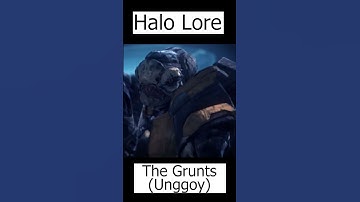 Grunts Explained | Unggoy - Halo Lore