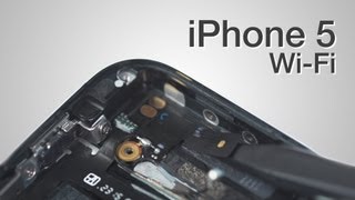 iPhone 11 Screen Replacement: Fix Your Cracked Screen!