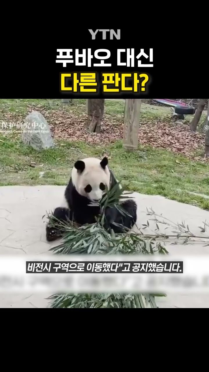 푸바오 비공개 전환 #shorts / YTN