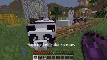 My First Mcreator Mod, The Morph.