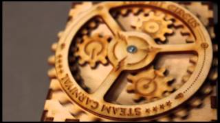 STEAM Carnival Rotocube Pledge