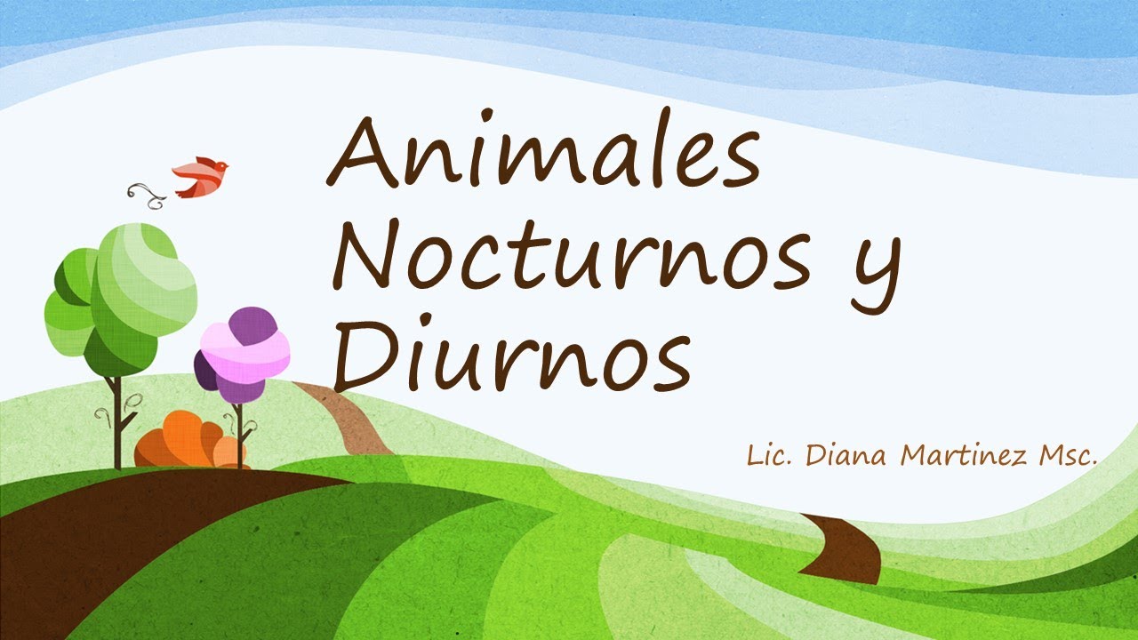 Animales Nocturnos y Diurnos - thptnganamst.edu.vn