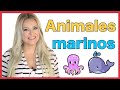 ANIMALES 🐳 marinos 🦀  en FRANCÉS (fácil para principiantes)