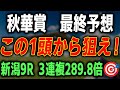【秋華賞 2025 最終予想】絶対に買いたい本命馬と買い目を徹底解説します