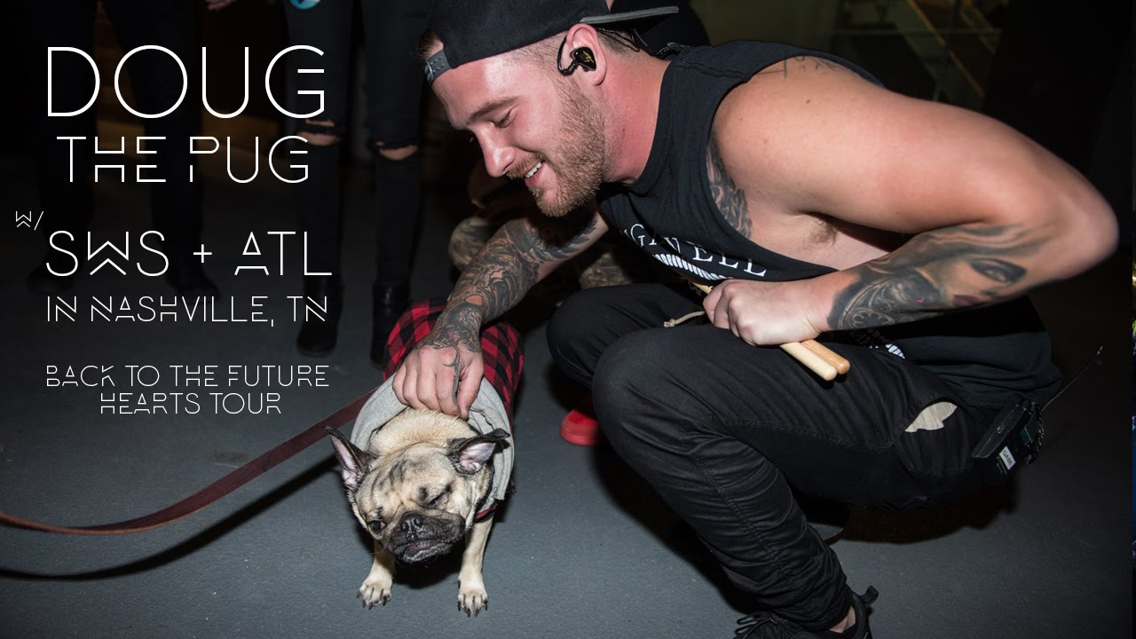 Doug The Pug with Sleeping With Sirens and All Time Low in Nashville, TN! - The Grizzlee Grind