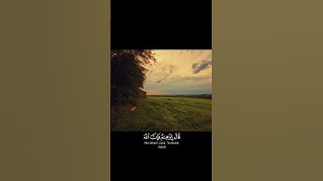 أَلَمْ تَرَ إِلَى الَّذِي حَاجَّ إِبْرَاهِيمَ فِي رَبِّهِ(258)  _سورة البقرة_ القارئ  ياسر_الدوسري