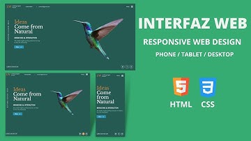 🔵 Interfaz de página web Responsive Design | HTML y CSS