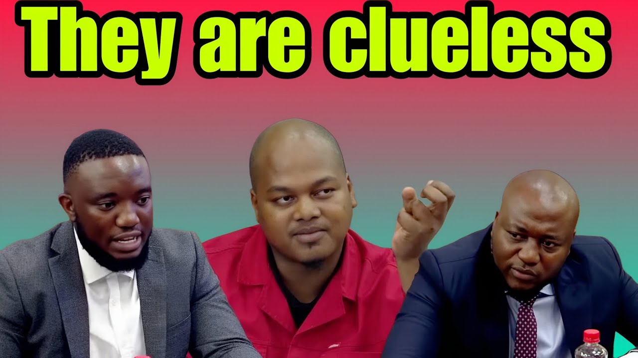 EFF Sihle Lonzi vs NYDA board interviewees. SHOCKING.