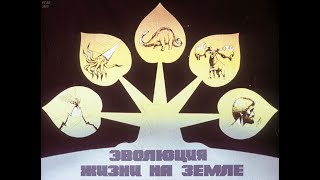картинка: Эволюция жизни на земле  Жизнь как этап развития (1987)