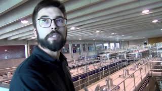 Adega Mãe produz grandes vinhos na região de Lisboa
