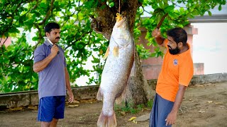 10kg Full Fish Biryani / 10 Kg ഫുൾ കാളാഞ്ചി ബിരിയാണി ഇതിന് രുചി ഇത്തിരി കൂടുതലാ..