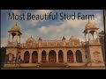 Beautiful Horse Farm design In Punjab India owner Raj Deep Singh Chohan