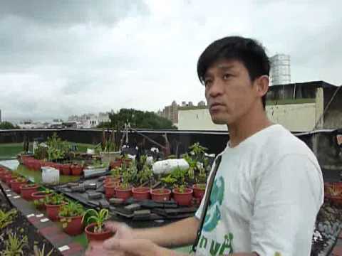 1020516 綠屋頂工作營成果分享記者會-介紹綠屋頂施作 pic