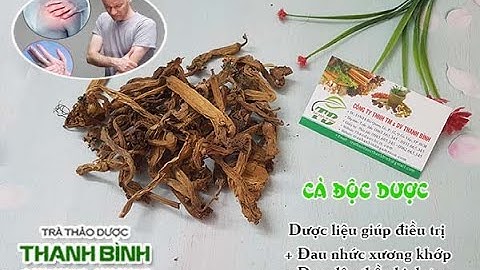 Cà Độc Dược | Công dụng của cà độc dược