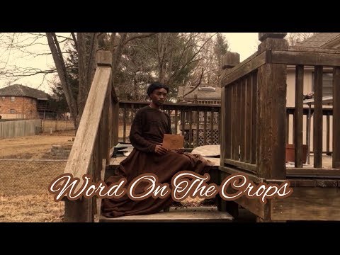 word-on-the-crops-|-if-slaves-had-a-reality-tv-show