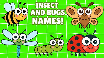 Insects and Bugs Names for Kids 🐞| Learning Insect Names for Toddlers | Baby Learning Video for Kids