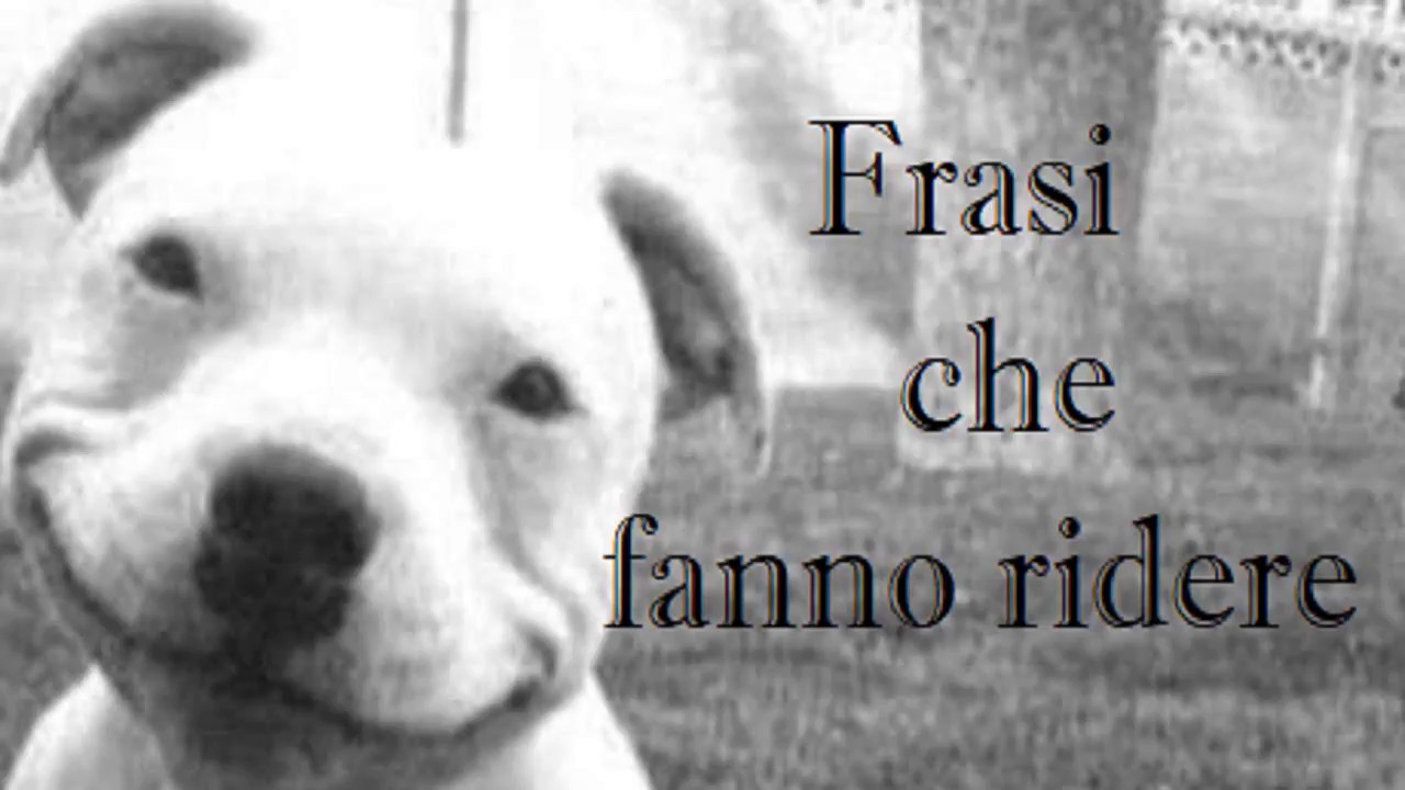 Frasi Che Fanno Ridere Youtube