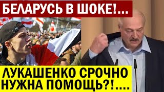 Срочно..! Беларусь не может в это поверить.! У Лукашенко подозревают ИНФАРКТ..!