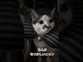 #さくらタン #cat #エジプト歌 #🤭🤭 #かわいい