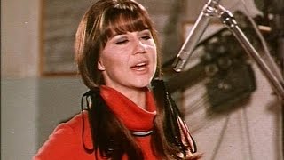 Video thumbnail of "The Seekers - I'll Never Find Another You 1965 STEREO"