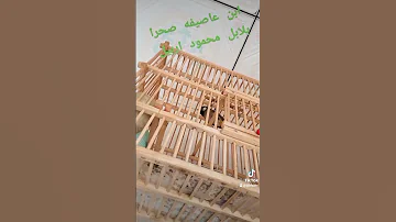 ابن بطل ابطال اربيل جم يعنى بدره 