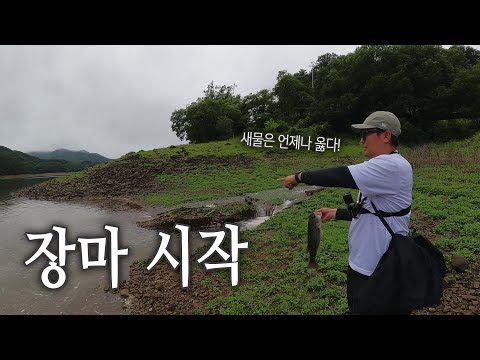 폭우가 내렸는데도 새물에는 배스가 몰린다_[배스피디수첩47_장성호]
