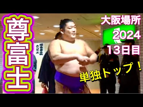 13日目 出番前の尊富士❗️【大相撲令和6年3月場所】2024/3/22 13日目 TAKERUFUJI【SUMO】 Mar 2024 DAY13