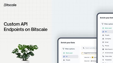 Setting Custom API Endpoints on Bitscale | Lead Enrichment | B2B Outbound