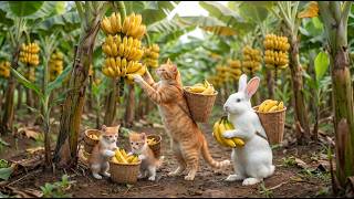 Mama Cat Trims Fur on the Farm and Makes Tiger Hat For Kittens At Home🐾🎩🐯