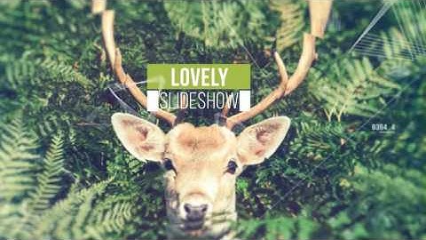 After Effects Template: Parallax Slideshow