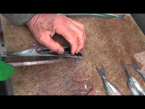 サヨリを塩焼き用に捌く 漁師風調理 Youtube