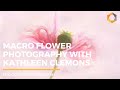 Tutoriel de photographie de fleurs en macro utilisant la nik collection 3 de dxo