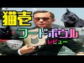 猫壱（necoichi） フードボウルレビュー　Necoichi Food Bowl Review