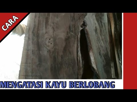 Cara menambal kayu  yang keropos  DEMPUL KAYU  YouTube