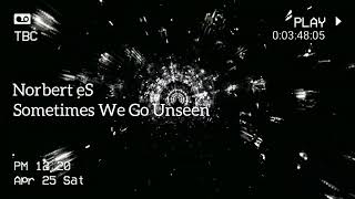 Norbert eS - Sometimes We Go Unseen