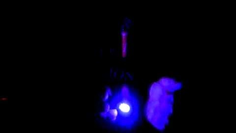 Liquidemotions.com BWO Strobe Dropz 3 !