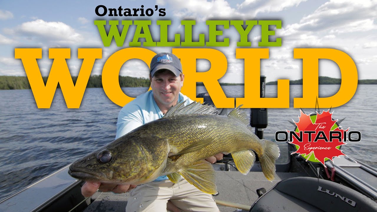 Walleye World (Ontario's Premier Walleye Fishing)! 