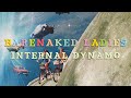 Barenaked Ladies - Internal Dynamo (Official Audio)