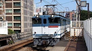 2018/07/17 JR貨物 5692レ EF65-2075 & 単8092レ EH200-19 関内駅 | JR Freight: Cargo at Kannai