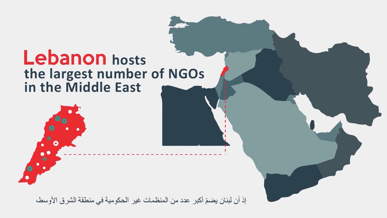 Non-Governmental Organizations Initiative (NGOi)