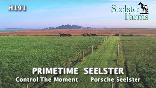 H191 Primetime Seelster Lsys 2019