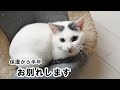 運命のお家!?訪問した里親さんのお宅で驚きの出来事が起こりました【トライアル開始】