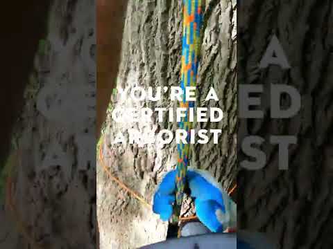 Video: Kaip tapti arboristikos konsultantu?