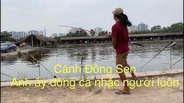 Fishing clash. Cận Cảnh câu cá tra giải hồ câu Cánh Đồng Sen ngày khai trương