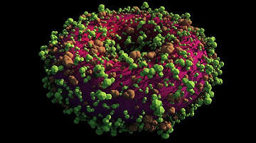 Dona World in 3D Maya Mash