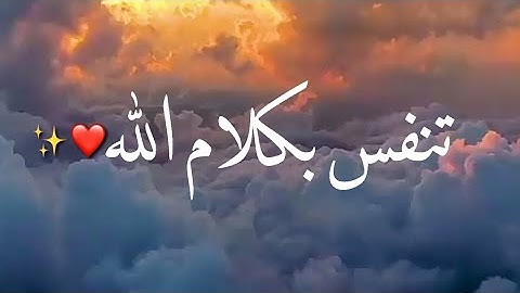 أرح سمعك -قرآن كريم بصوت ماهر المعيقلي /حالات واتساب دينية /مقاطع دينية قصيرة /مقاطع إنستقرام دينية