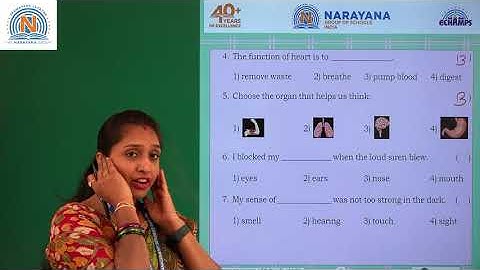 14TH AUG PAN INDIA CLASS II EVS REVISION ASSIGNMENT 2 KEY